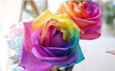 無機(jī)顏料發(fā)展情景怎么樣？